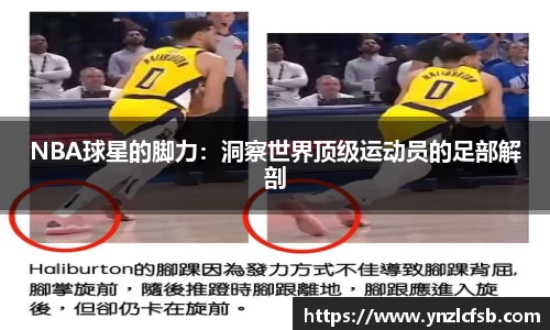 NBA球星的脚力：洞察世界顶级运动员的足部解剖