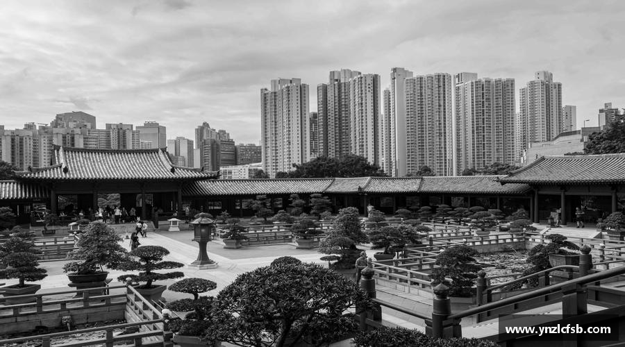 竞技宝引领激情释放，挑战体育